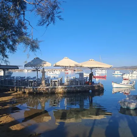 Anixis Superior * Aliki (Paros)
